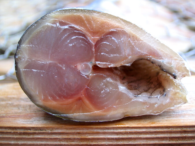 干物 さんま丸干し断面(秋刀魚・サンマ)