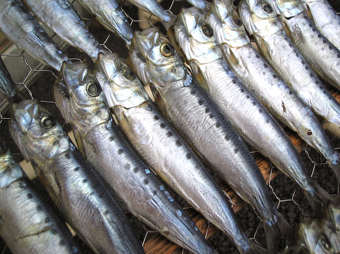 干物 真いわし丸干し（イワシ・鰯） | おいしい干物を通販で、干物屋