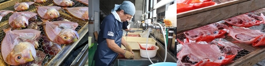 自社工場にて様々な魚種を干物に